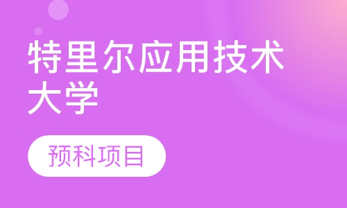 特里尔应用技术大学