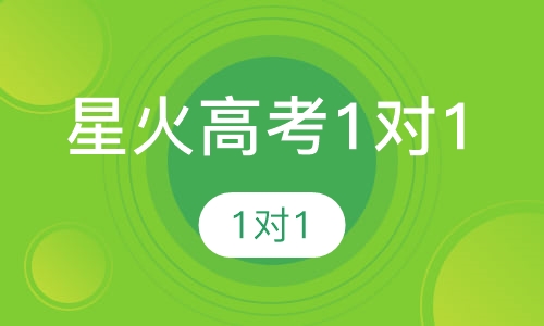 星火高考1对1