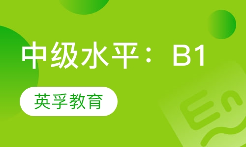 中级水平：B1