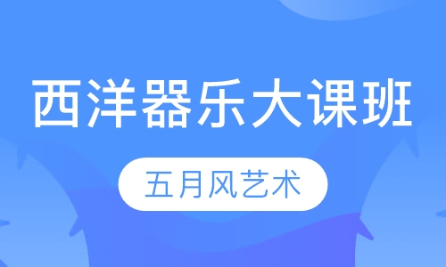 西洋器乐大课班