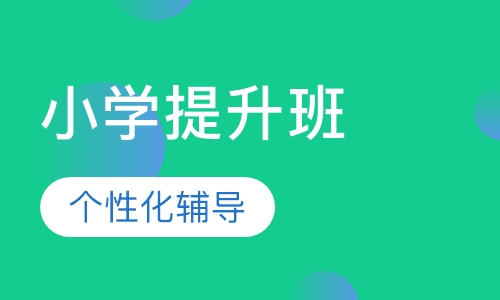 小学提升班