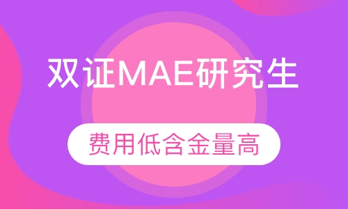 双证MAE研究生