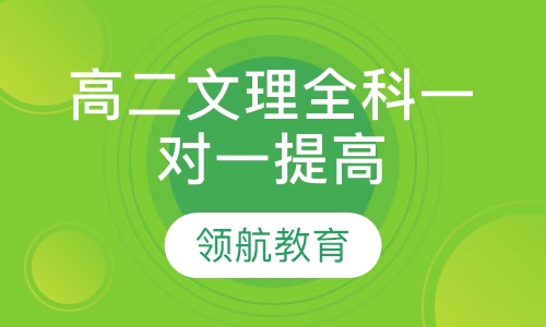 高二文理全科一对一提高