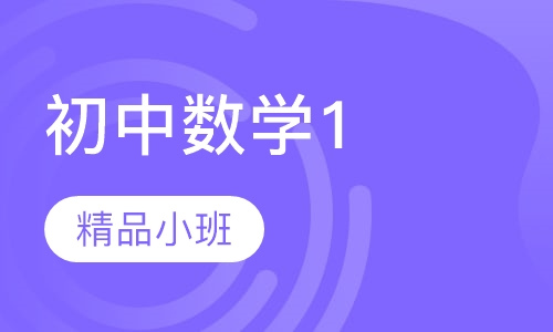 初中数学10人班