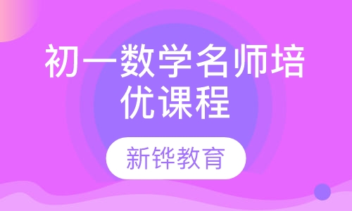 初一数学名师培优课程