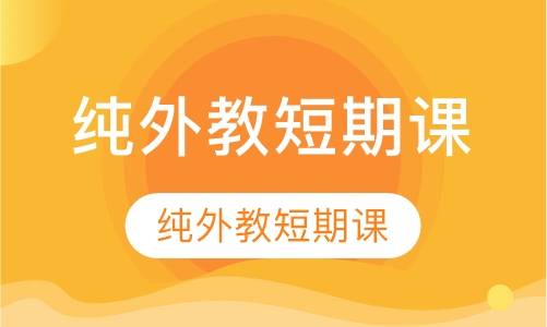 纯外教短期课