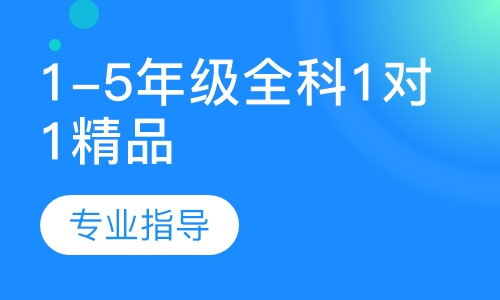 1-5年级全科1对1精品课程