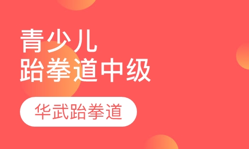 青少儿跆拳道中级班