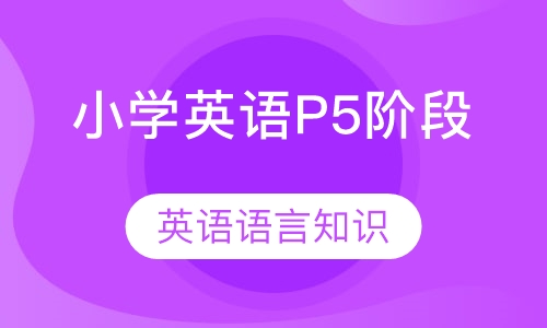 小学英语P5阶段