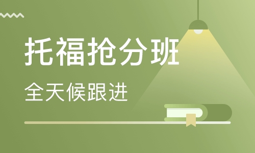 托福抢分班（100分 ）