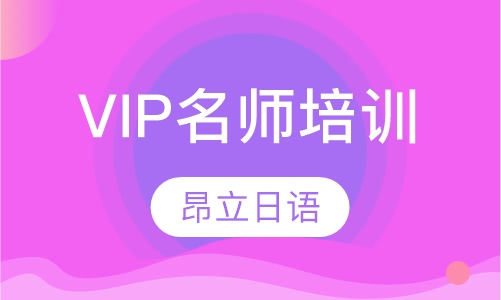 VIP名师培训