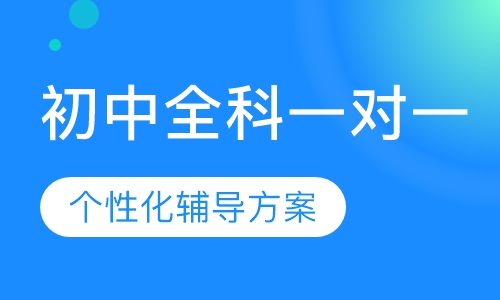 初中全科一对一辅导