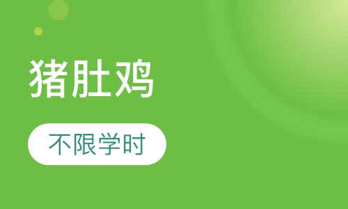 猪肚鸡