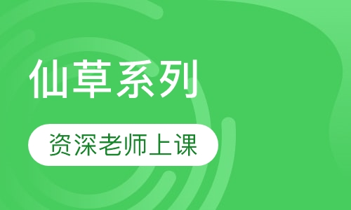 仙草系列