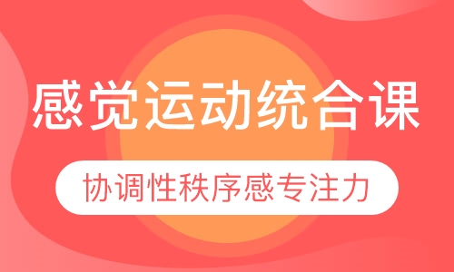 感觉运动统合课
