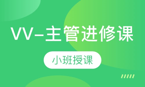 VV-主管进修课