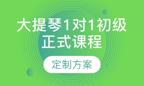 大提琴1对1初级正式课程