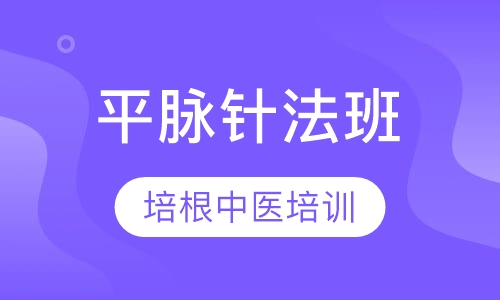 平脉针法班