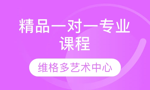 精品一对一专业课程