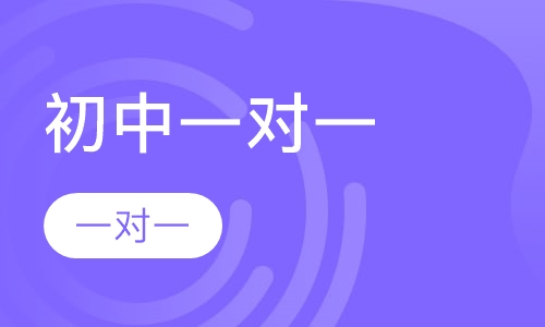 初中一对一
