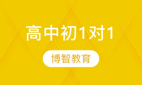 高中初1对1
