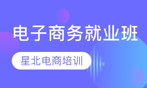 电子商务高级就业班