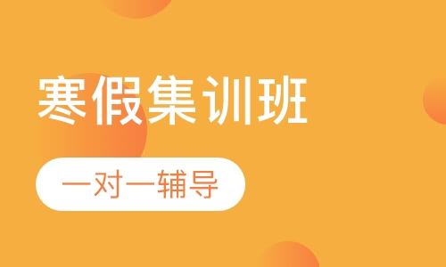 高中寒假集训班
