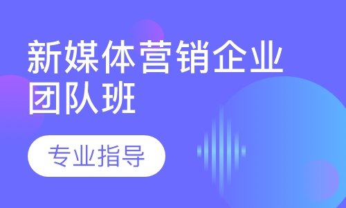 新媒体营销企业团队班