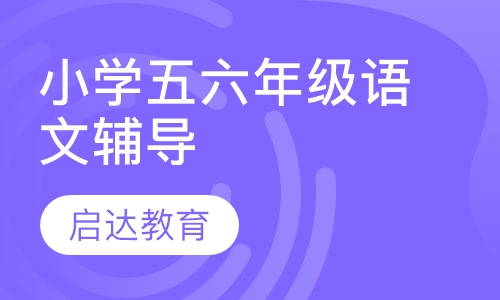 小学五六年级语文辅导