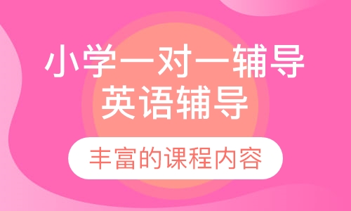 小学一对一辅导英语辅导