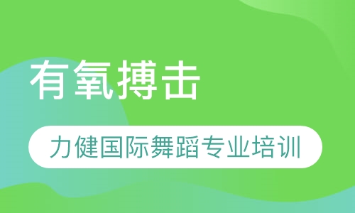 有氧搏击