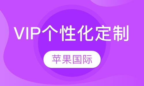 VIP个性化定制课程