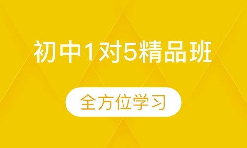 初中1对5精品班