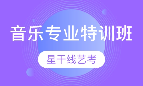 音乐专业特训班