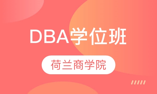 荷兰商学院DBA学位班