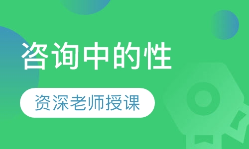 咨询中的性