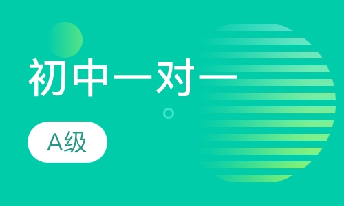 初中一对一A级