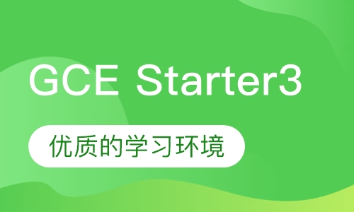 迈格森幼儿英语GCE Starter3