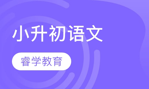 小升初语文