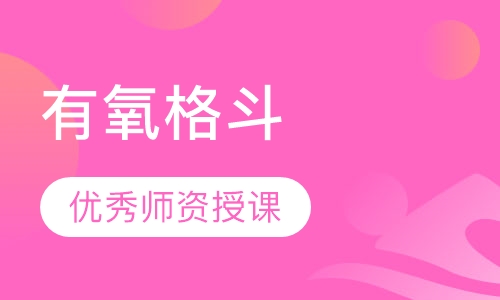 有氧格斗