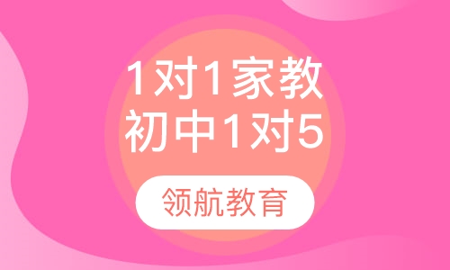 1对1家教初中1对5