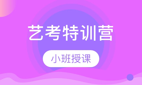 艺考特训营