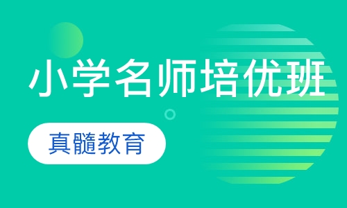 小学名师培优班