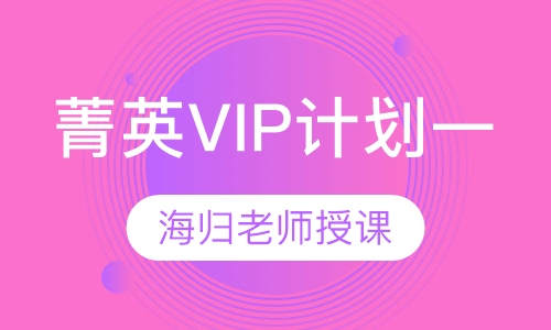 A-level菁英VIP计划一