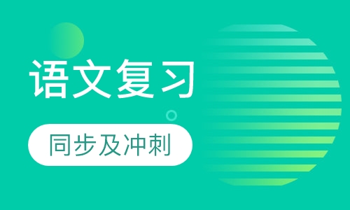 中考语文复习（同步及冲刺）