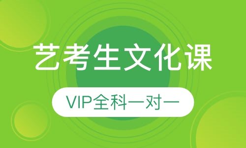 艺考生文化课VIP全科一对一