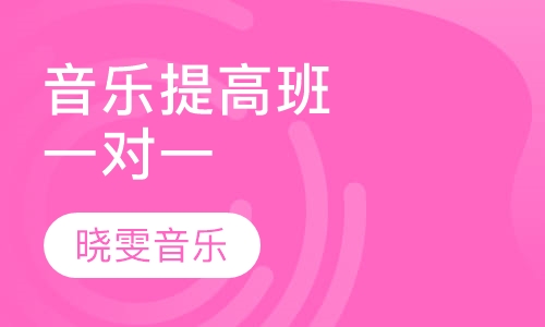 提高班（双排键一对一)培训