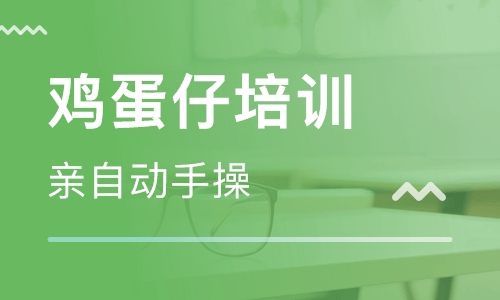 鸡蛋仔培训