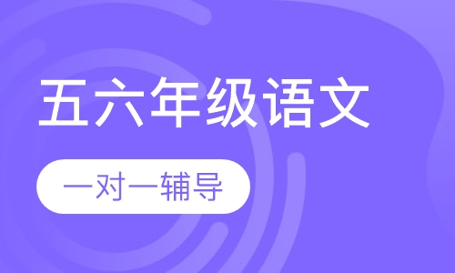 小学五六年级语文辅导