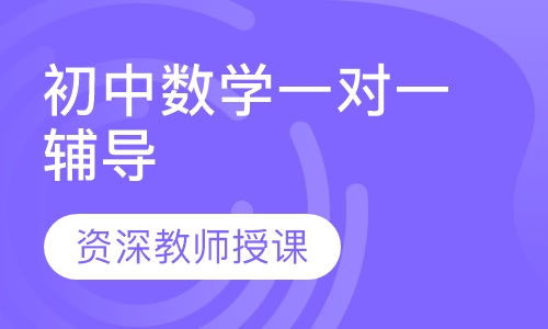 初中数学一对一辅导